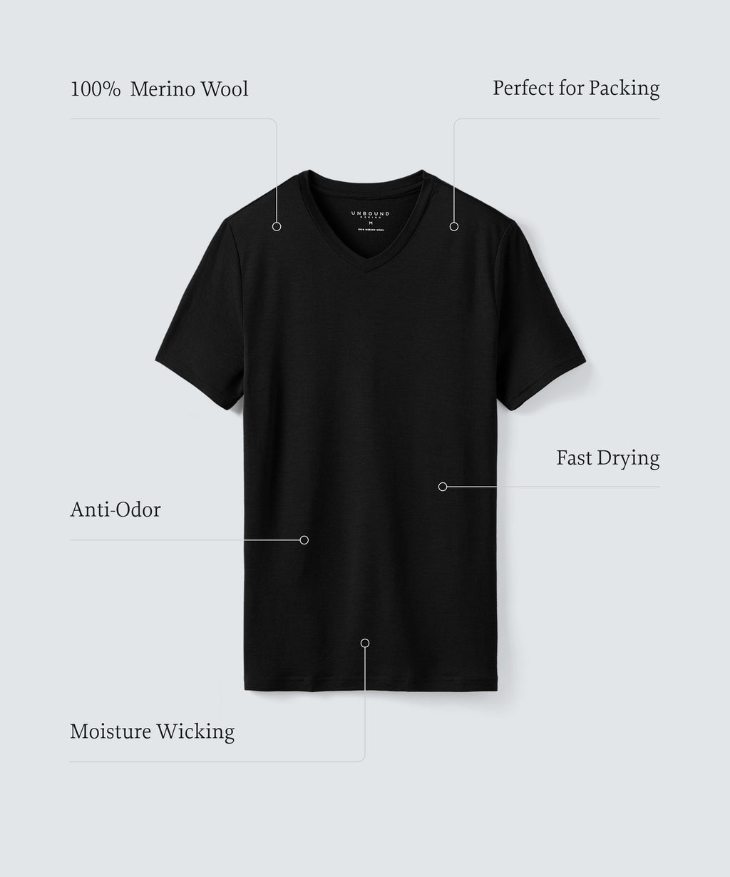 Men's Tall Merino V-Neck T-Shirt