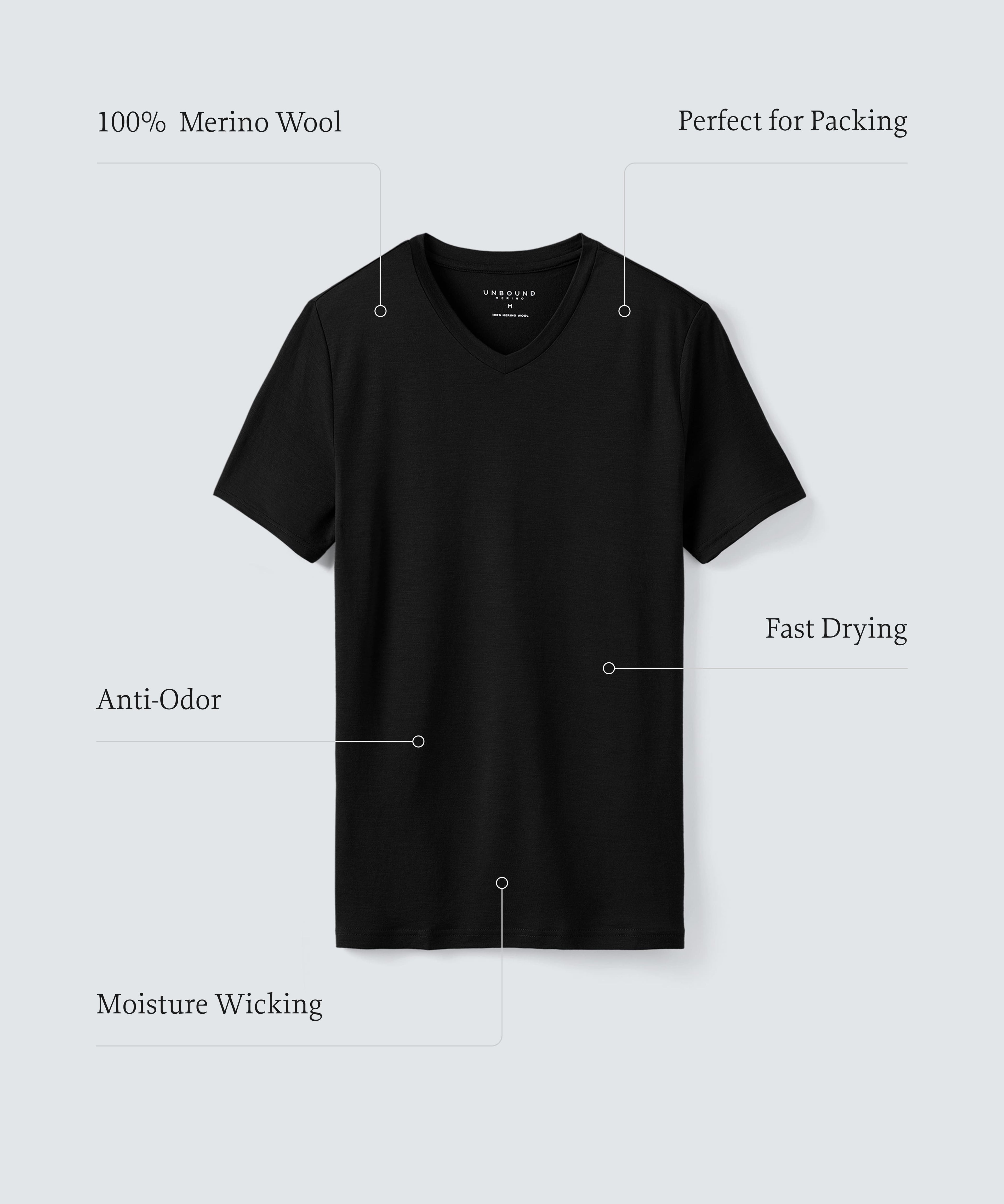 Men's Tall Merino V-Neck T-Shirt