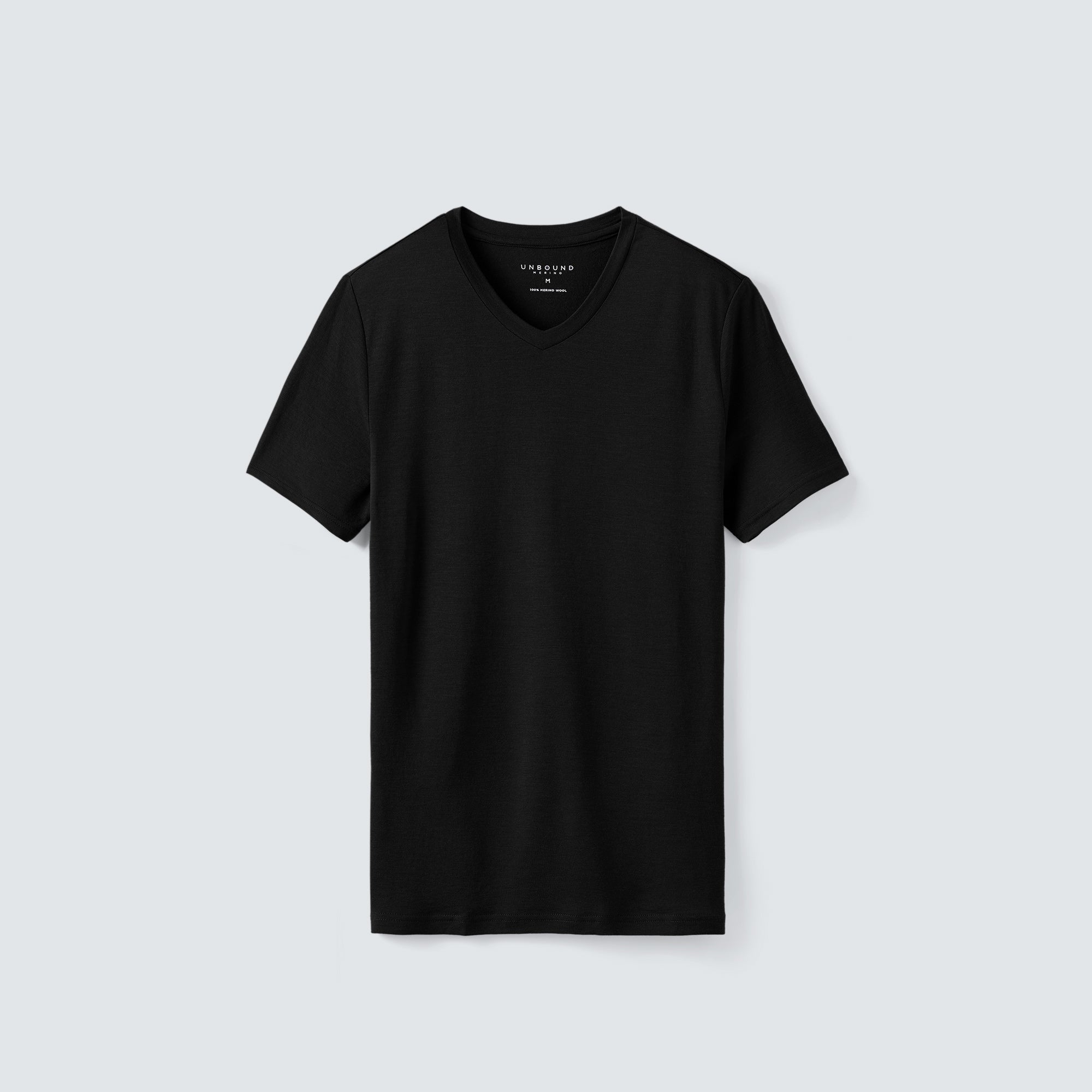 Men's Tall Merino V-Neck T-Shirt