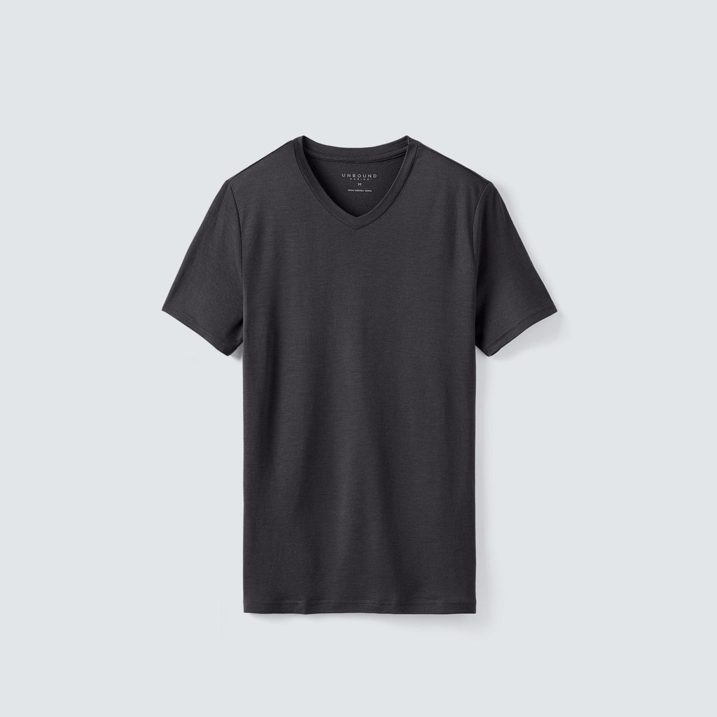 Men's Tall Merino V-Neck T-Shirt
