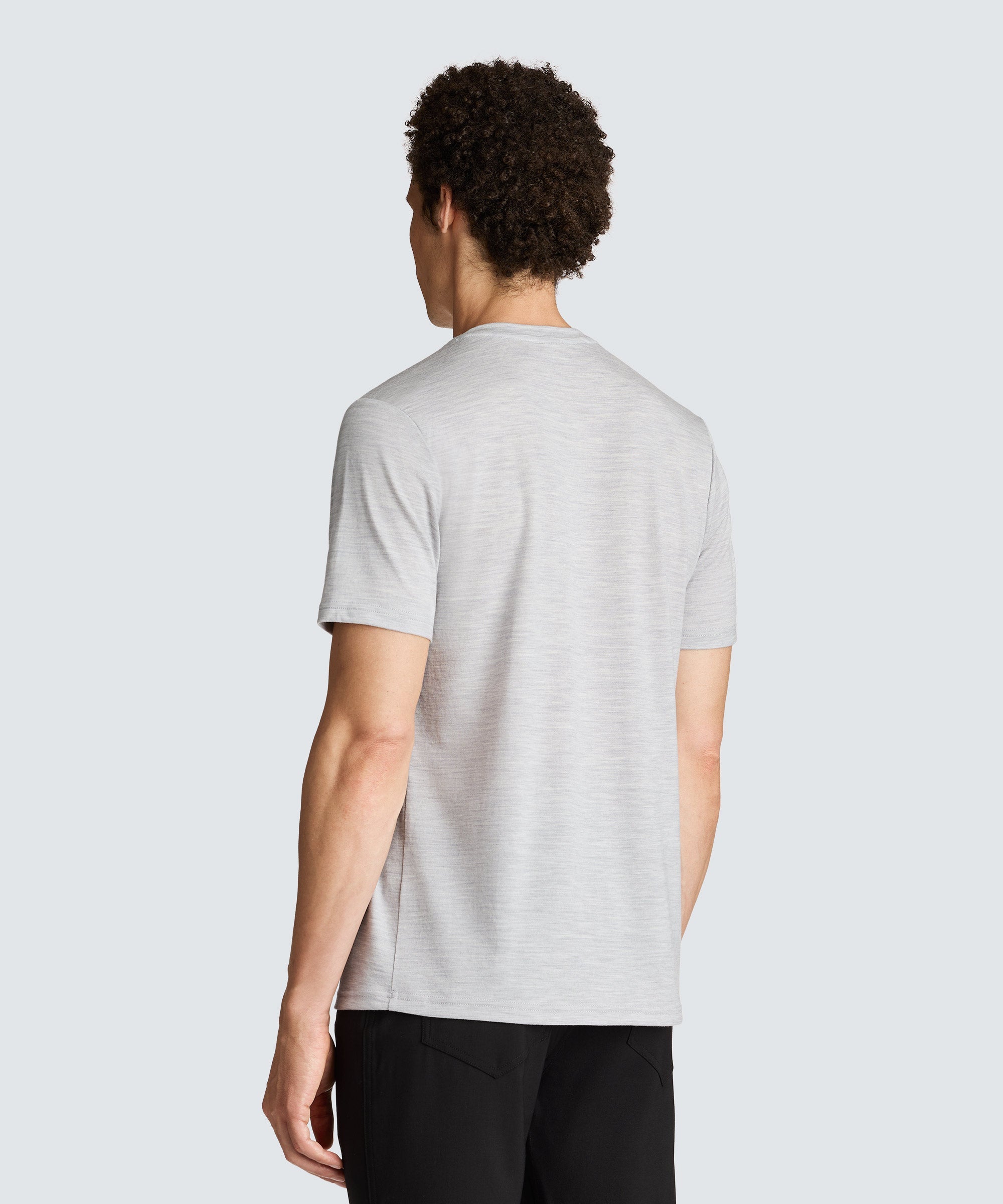 Men's Tall Merino V-Neck T-Shirt